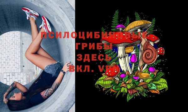 амф Зерноград