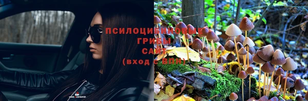амф Зерноград